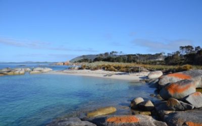 We love our return guests to Flinders Island…